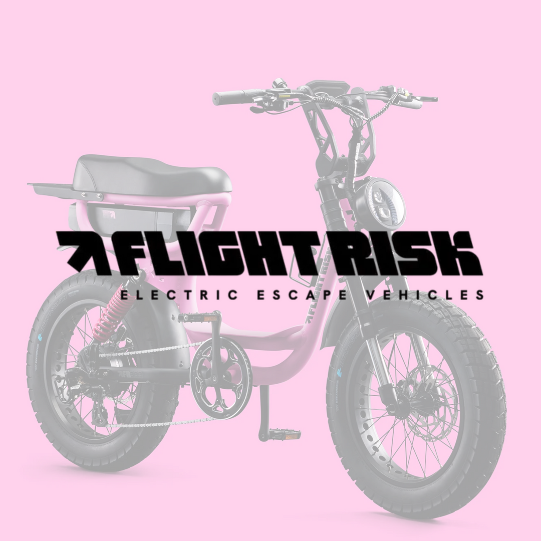 FLIGHT RISK