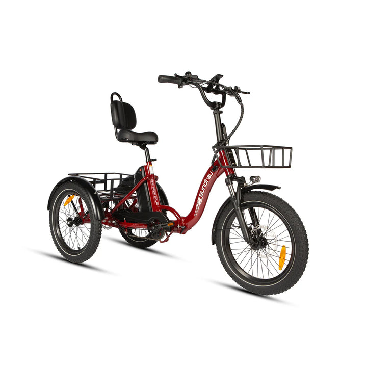 NEW-TRIKE 2.0