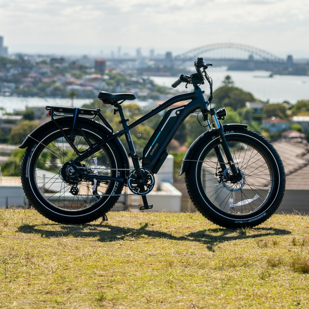 DIRODI | VIVO ELECTRIC BIKE GEN 2