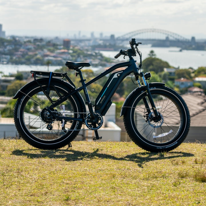 DIRODI | VIVO ELECTRIC BIKE GEN 2