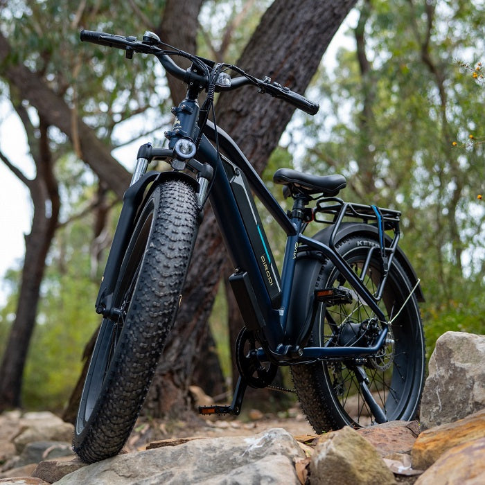 DIRODI | VIVO ELECTRIC BIKE GEN 2