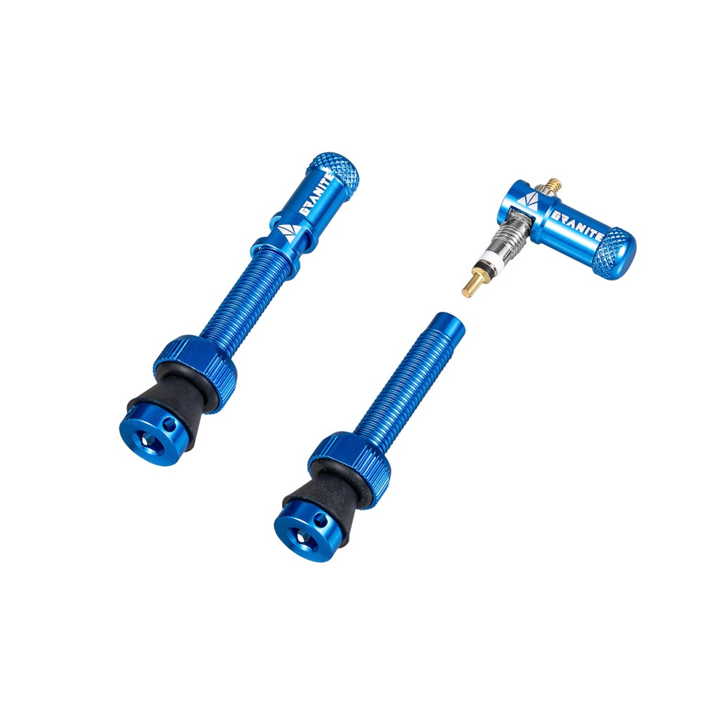 GRANITE JUICY | MATCHING TUBELESS VALVE STEM