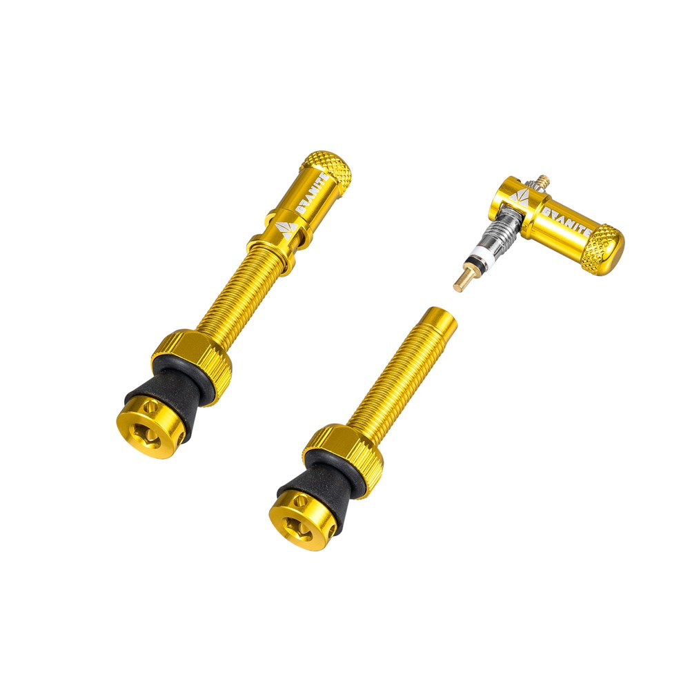GRANITE JUICY | MATCHING TUBELESS VALVE STEM