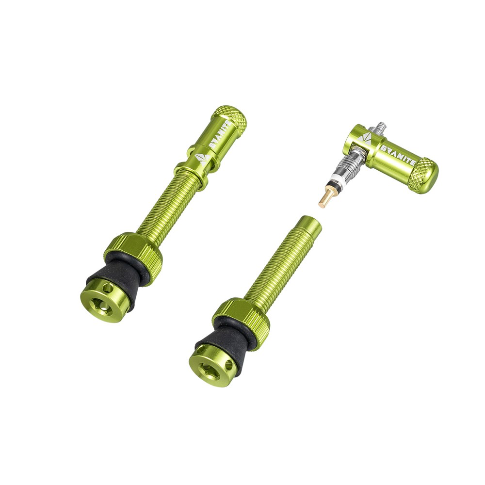 GRANITE JUICY | MATCHING TUBELESS VALVE STEM