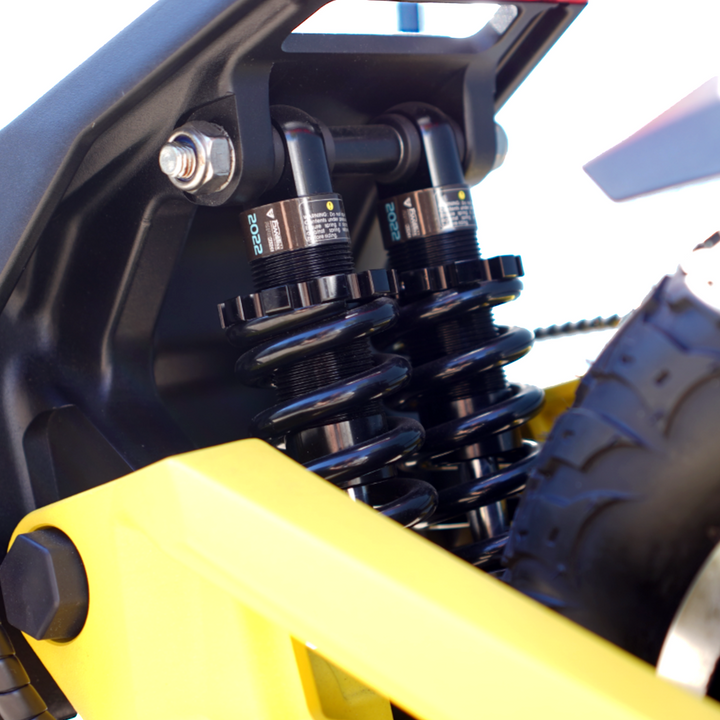 DIRODI | KAISER X3600 ELECTRIC SCOOTER