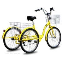 24″ Aluminium Trike Bike Silver