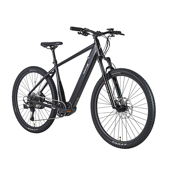 Ascent X – Adventure Electric Mountain Bike