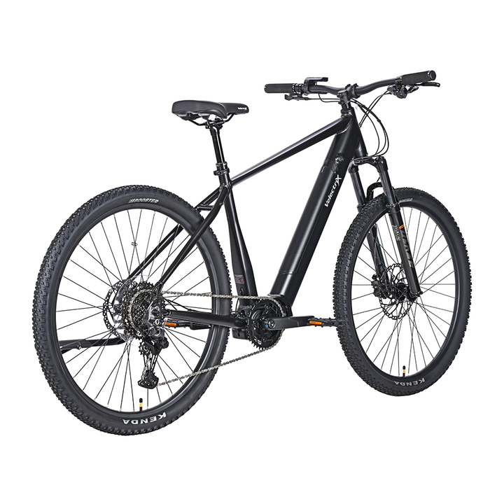 Ascent X – Adventure Electric Mountain Bike