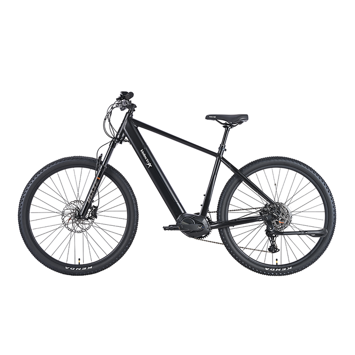 Ascent X – Adventure Electric Mountain Bike
