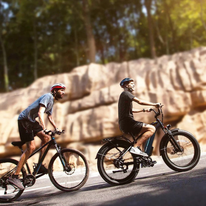 DIRODI | VIVO ELECTRIC BIKE GEN 2