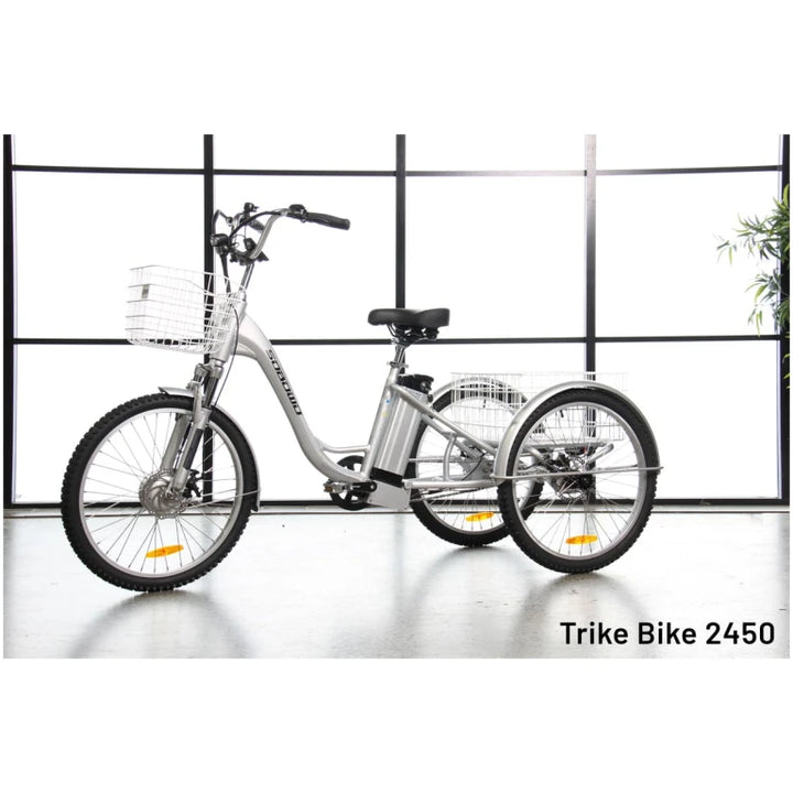 2450 - Sobowo Electric Tricycle