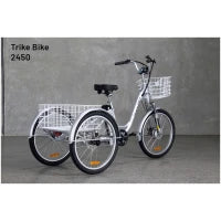 2450 - Sobowo Electric Tricycle