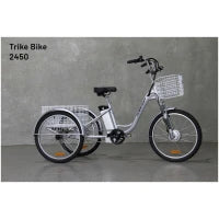 2450 - Sobowo Electric Tricycle