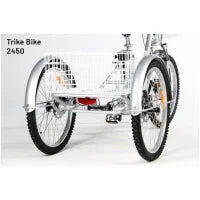 2450 - Sobowo Electric Tricycle