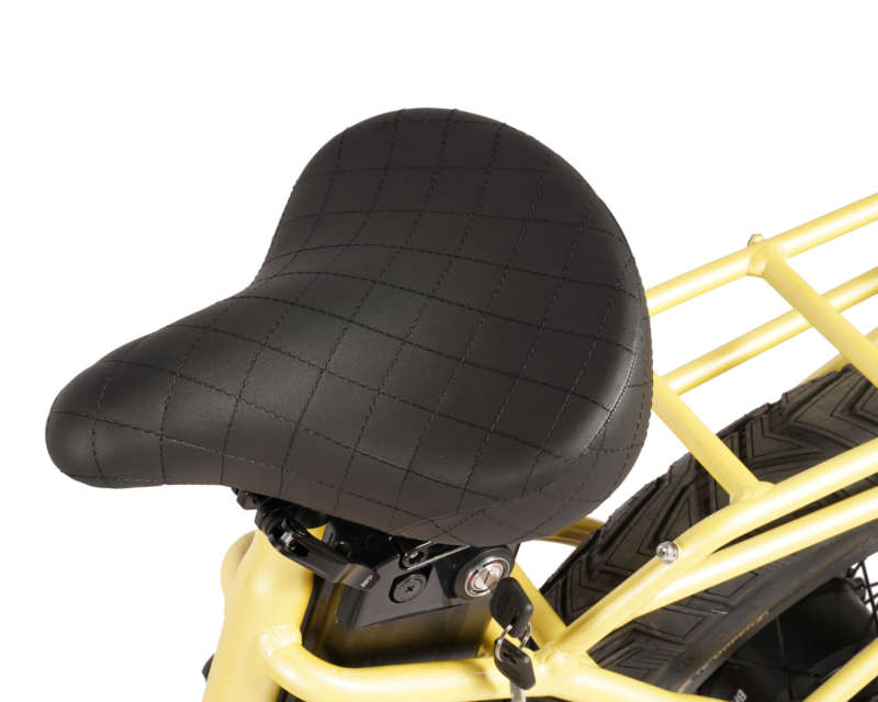 Stator Bikes | Swell Step Through